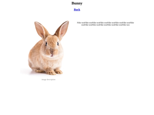 bunny screenshot