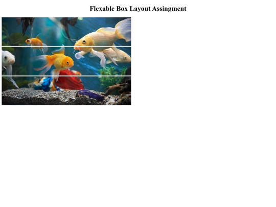 FlexableBoxLayout screenshot