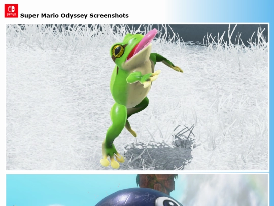 screens/smo screenshot