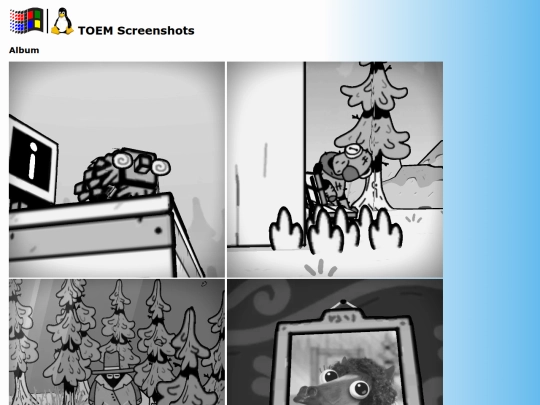 screens/toem screenshot