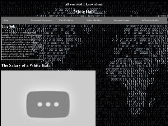 Website/Whitehat screenshot