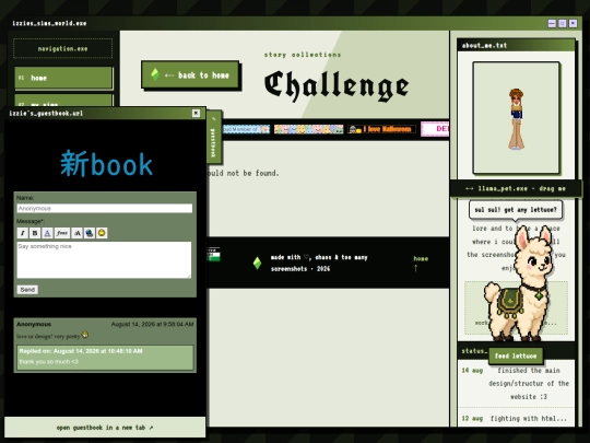 challenges/view screenshot