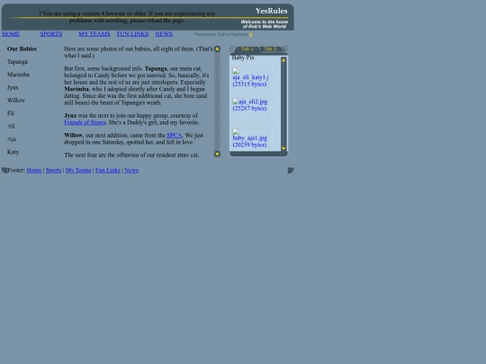 mycats screenshot