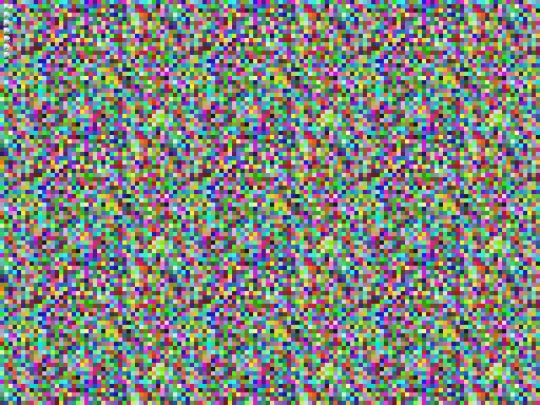 images/bird screenshot