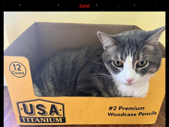 cat screenshot