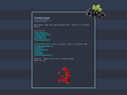 homepage screenshot