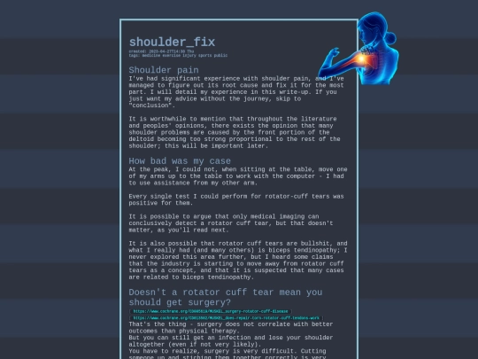shoulder_fix screenshot
