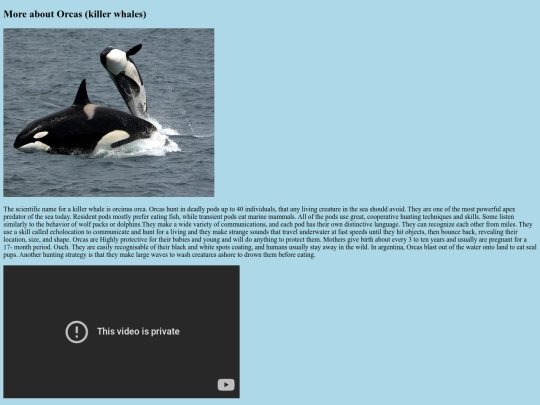 website2 screenshot