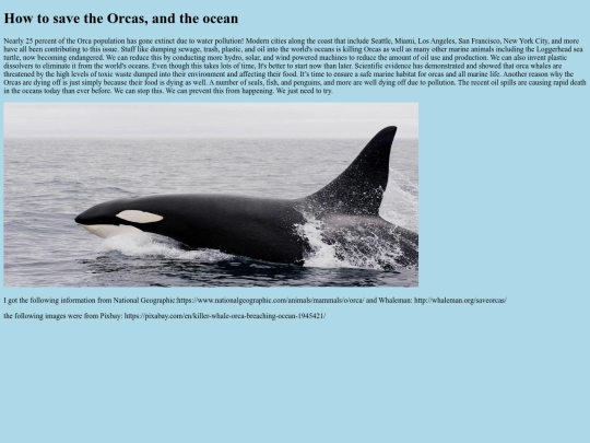website3 screenshot