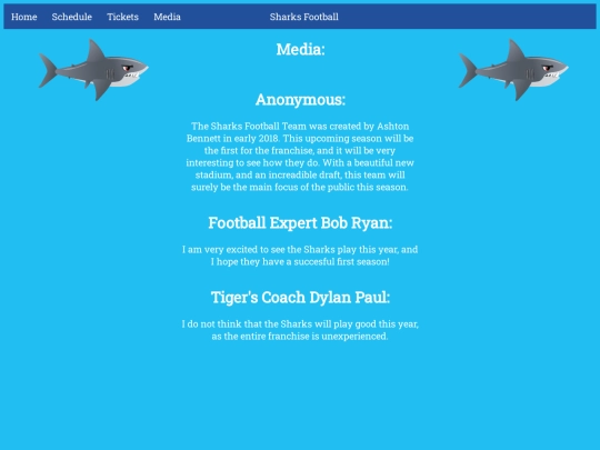 media screenshot