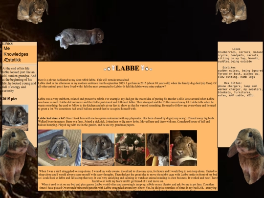 labbe screenshot
