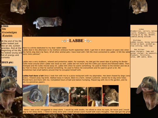 newfolder/labbe screenshot