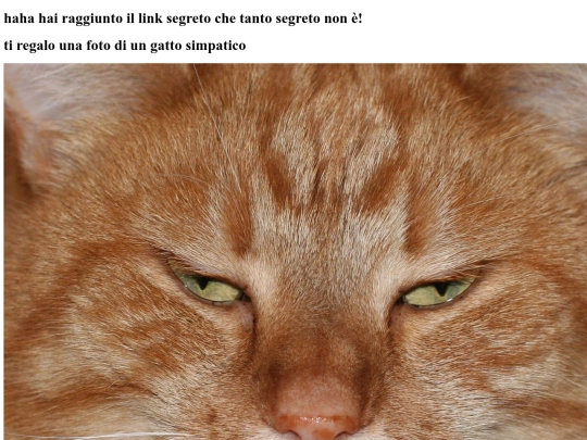 segreto screenshot