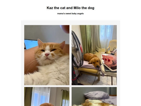 kazandmilo screenshot