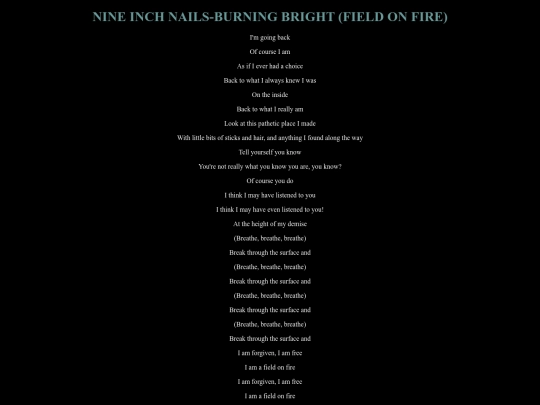 ninburningbright screenshot