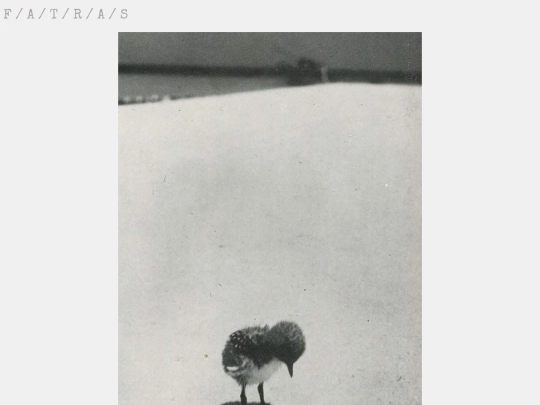 manifeste screenshot