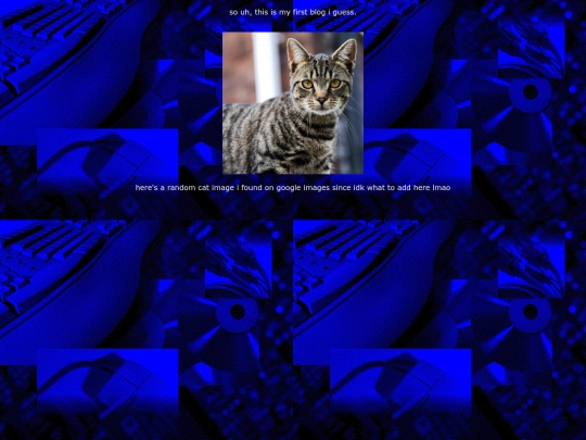 blogs/firstblogig screenshot