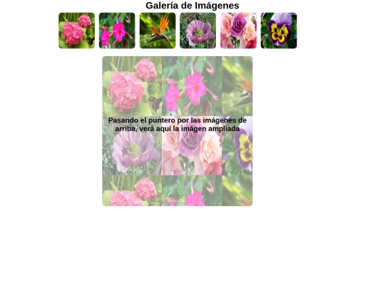 flores screenshot