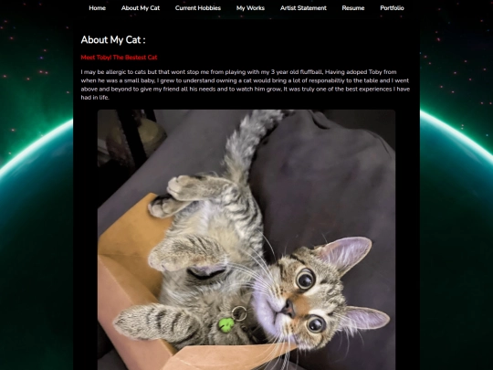 about-my-cat screenshot