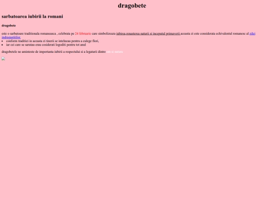 eric bogdan test screenshot