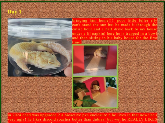 chad/day1 screenshot
