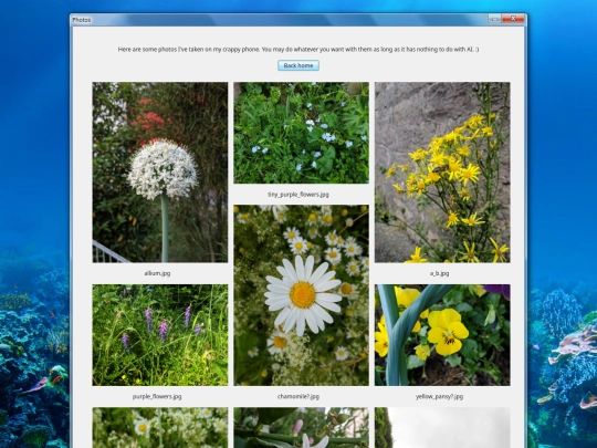 photos screenshot