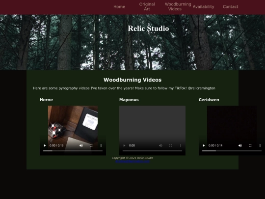 video screenshot