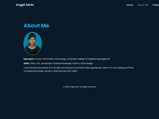 Portfolio/about screenshot