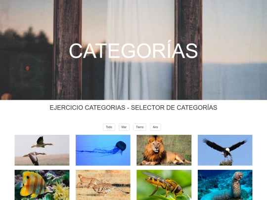 ejercicio_categorias 16.01.2017/ejercicio_categorias screenshot
