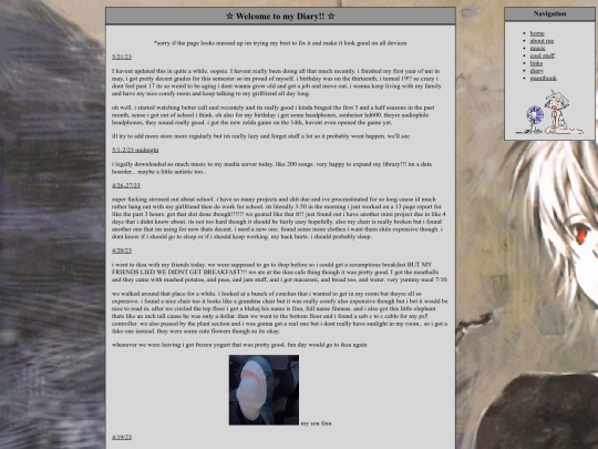 diary screenshot