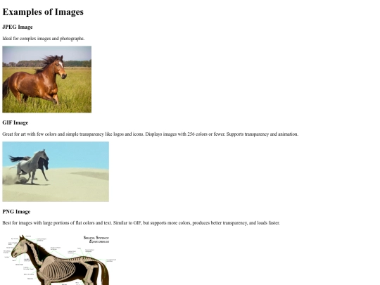 images-example/images-example screenshot