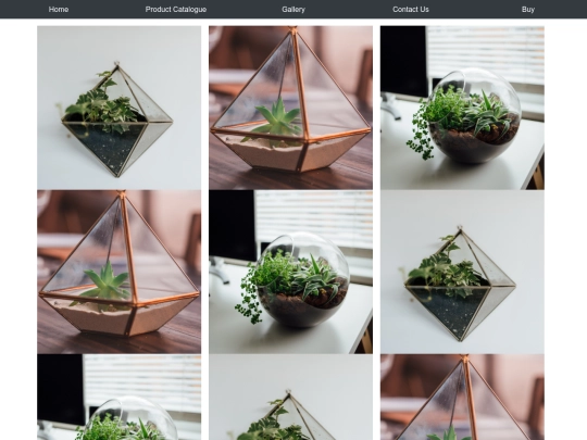 gallery screenshot