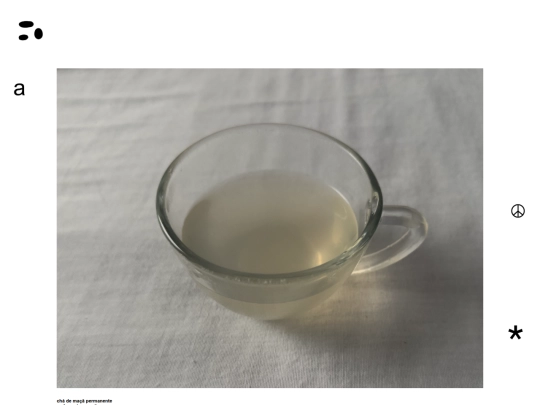 receitas screenshot
