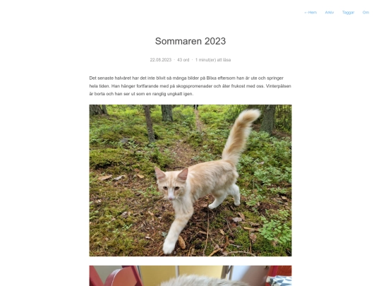 posts/sommaren-2023 screenshot