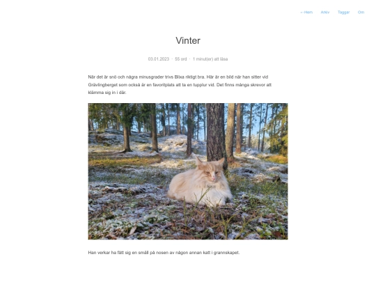 posts/vinter screenshot
