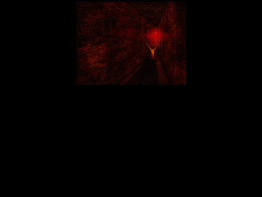 10000 dollar screenshot