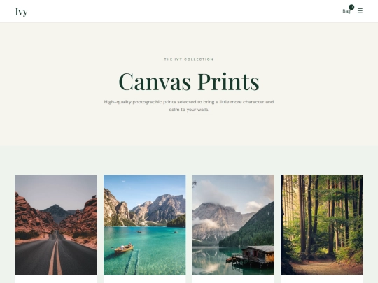 canvas screenshot