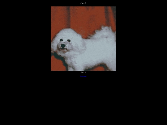 carl screenshot