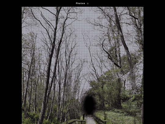 pictures screenshot