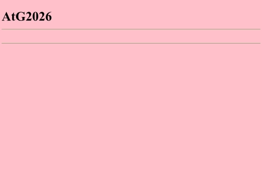 notfound screenshot