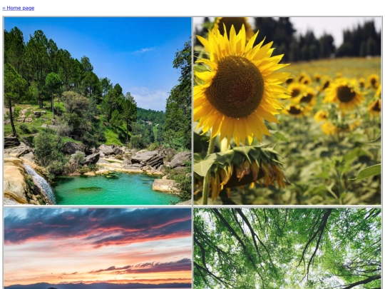 fotografo/fotografo screenshot
