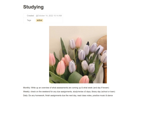 Studying 91ef1872ea3e413989fa477e834adfa2 screenshot