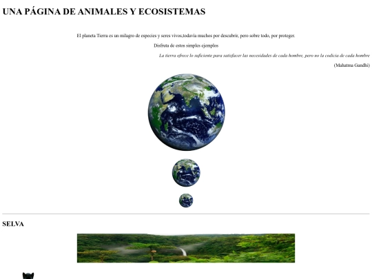 prctica5 screenshot