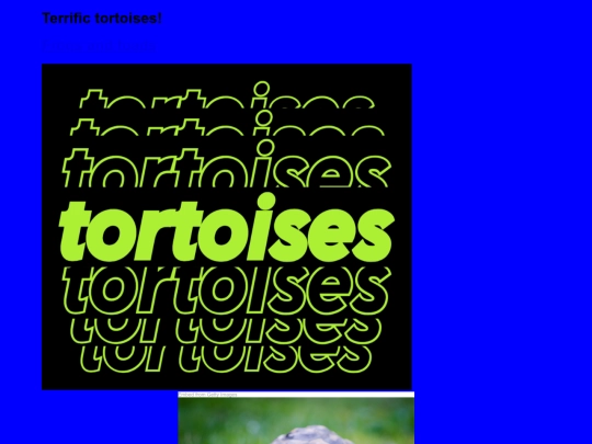 animals/tortoises screenshot