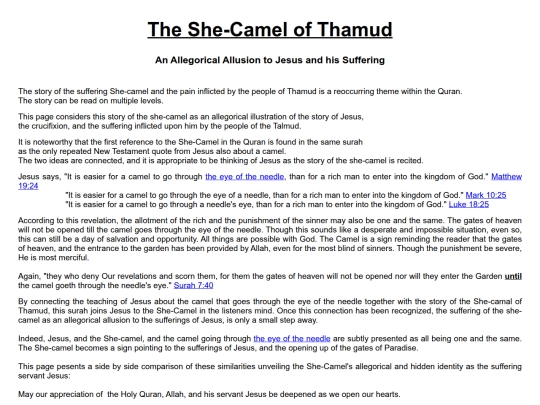 camel screenshot