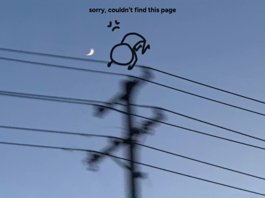 not-found screenshot