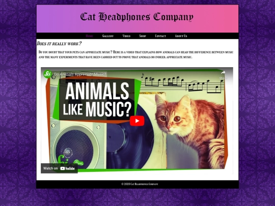 catsite/video screenshot