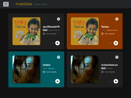 music screenshot