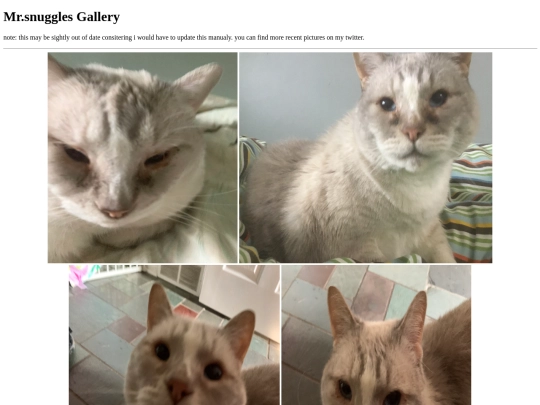 gallery screenshot