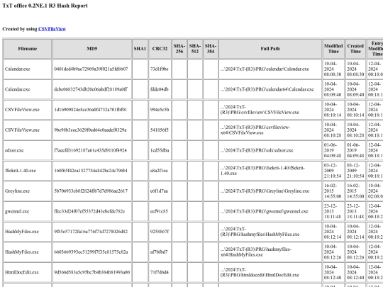 Info(2NE1)/2NE1-R3_(EXE)_Hash_Report screenshot
